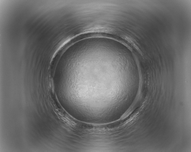 X0000058801069200510171341