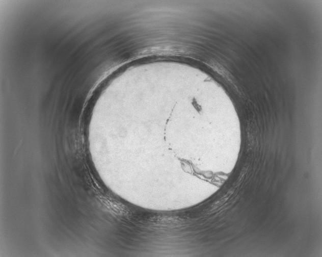 X0000058801070200510171341