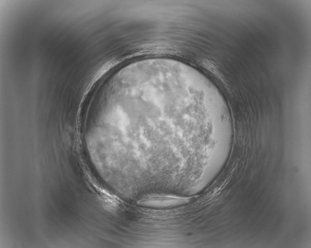 X0000058801071200510171341