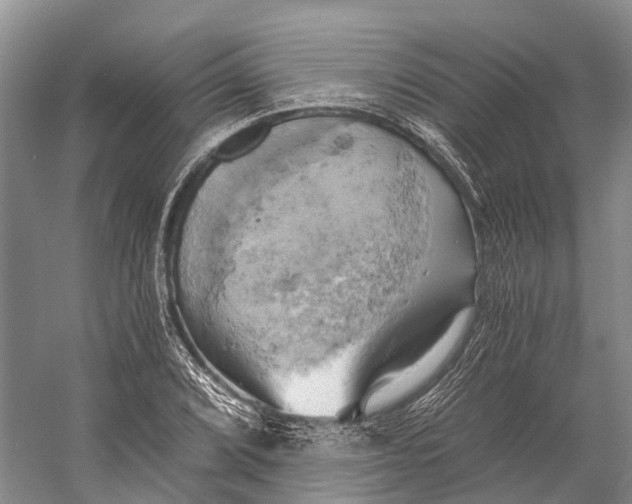 X0000058801072200510171341