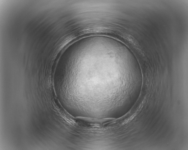 X0000058801073200510171341