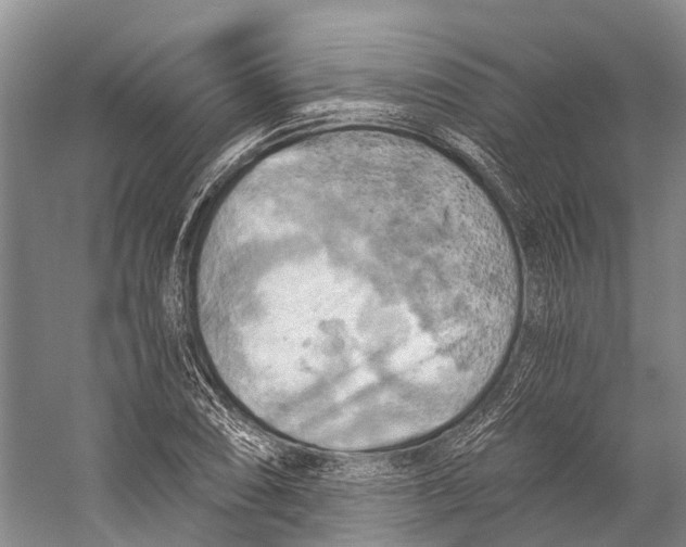 X0000058801074200510171341