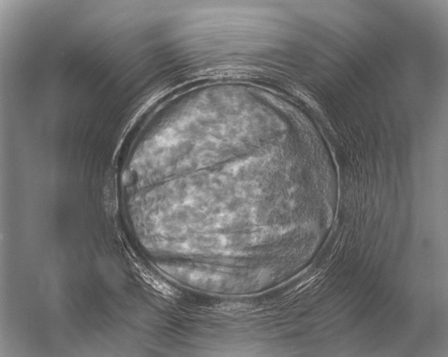 X0000058801075200510171340