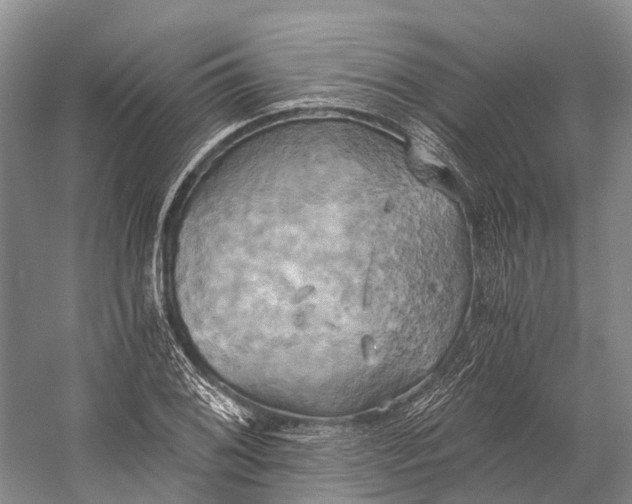 X0000058801076200510171340