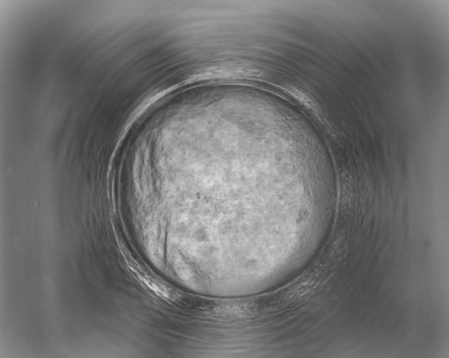 X0000058801078200510171340