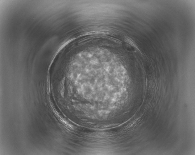 X0000058801079200510171340