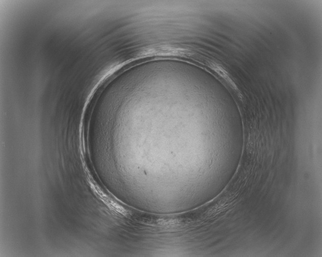 X0000058801080200510171340