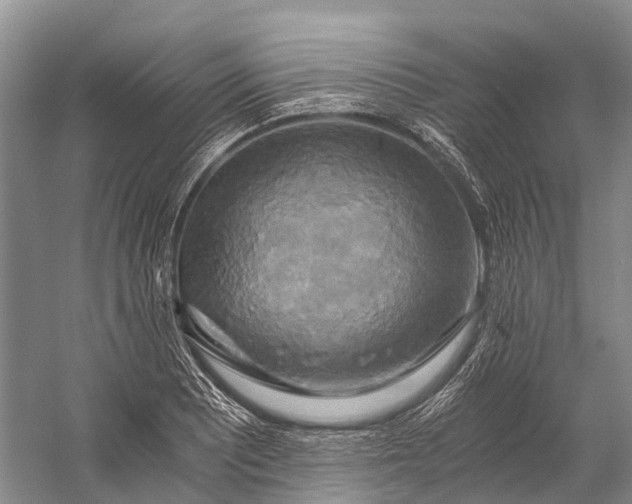 X0000058801081200510171340