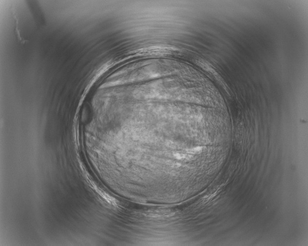 X0000058801083200510171340