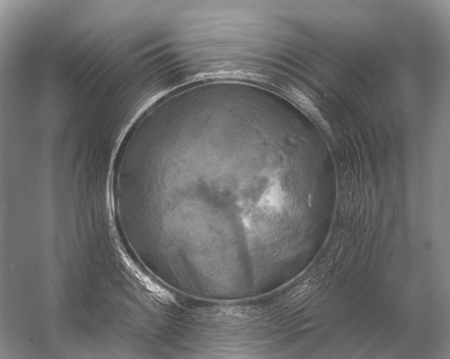 X0000058801084200510171340