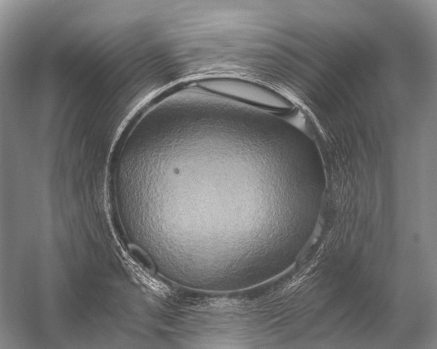 X0000058801085200510171340