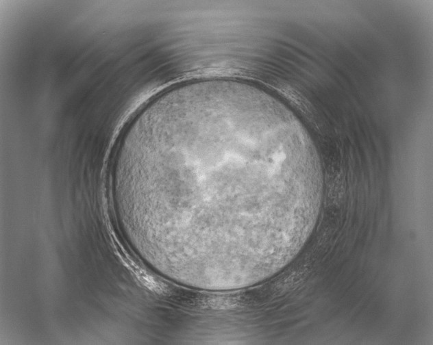 X0000058801086200510171340