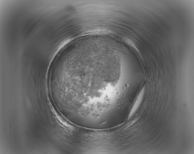 X0000058801087200510171340