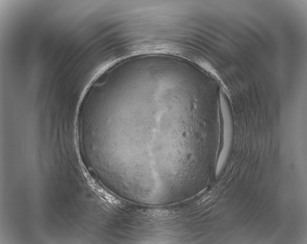 X0000058801088200510171340