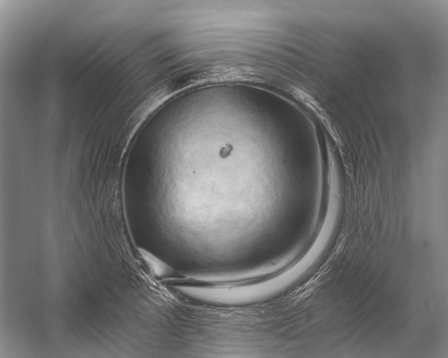 X0000058801089200510171340