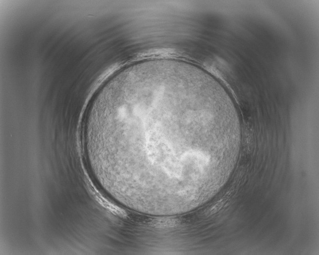 X0000058801090200510171340