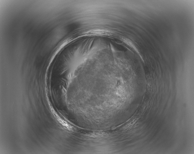 X0000058801091200510171340