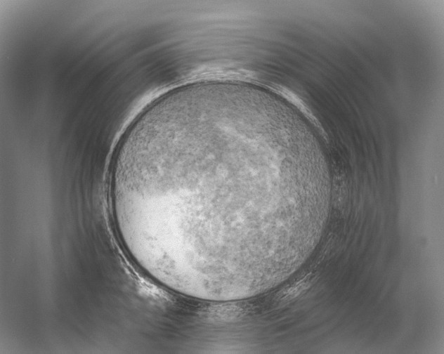 X0000058801094200510171340