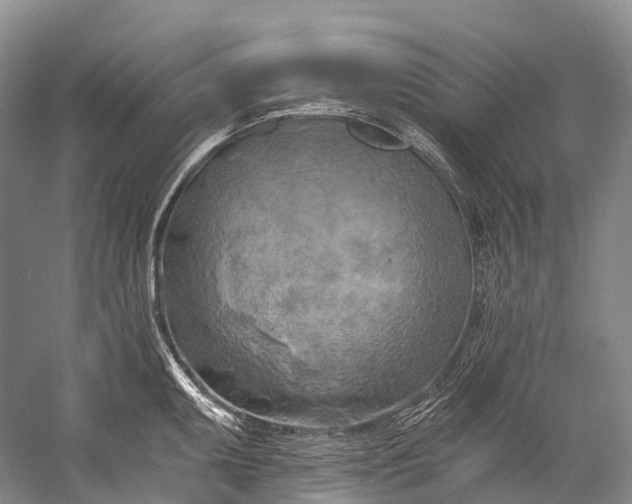 X0000058801095200510171340