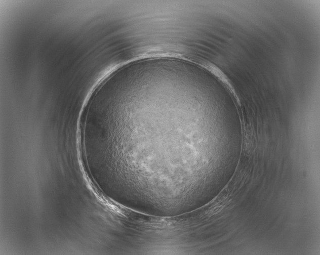 X0000058801096200510171340