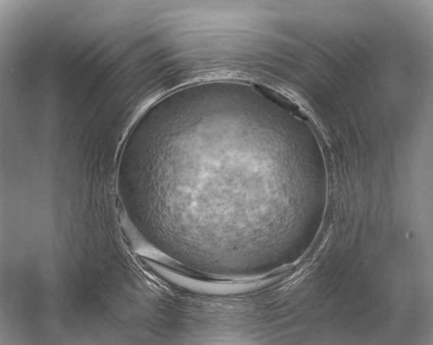 X0000058801097200510171340