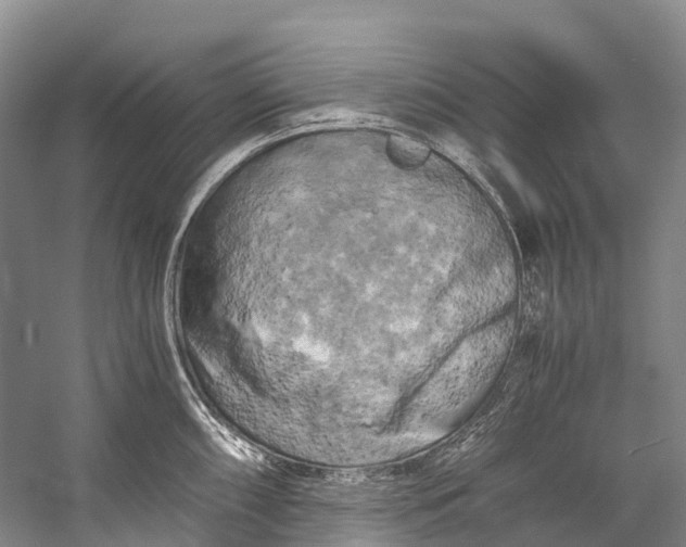 X0000058801098200510171340