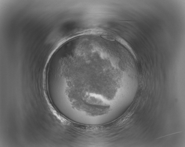 X0000058801099200510171340