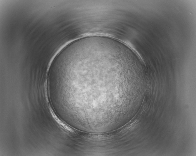 X0000058801100200510171340