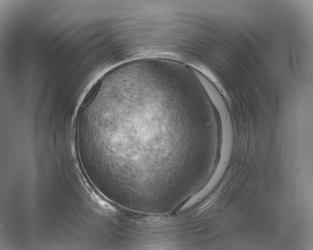 X0000058801102200510171340