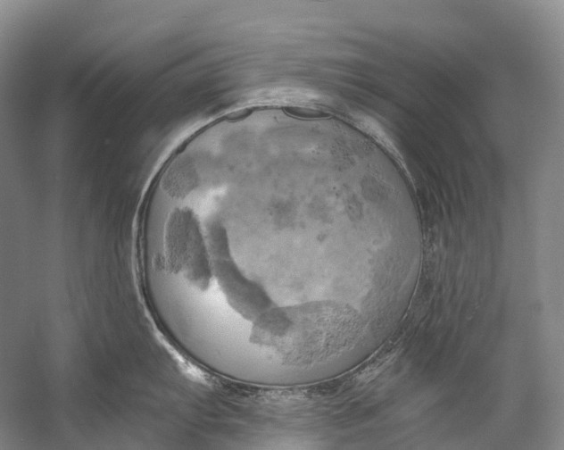 X0000058801103200510171340