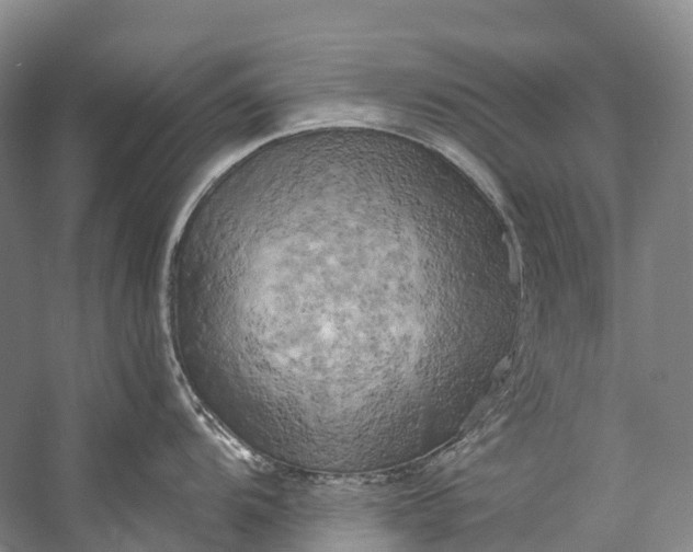 X0000058801104200510171340