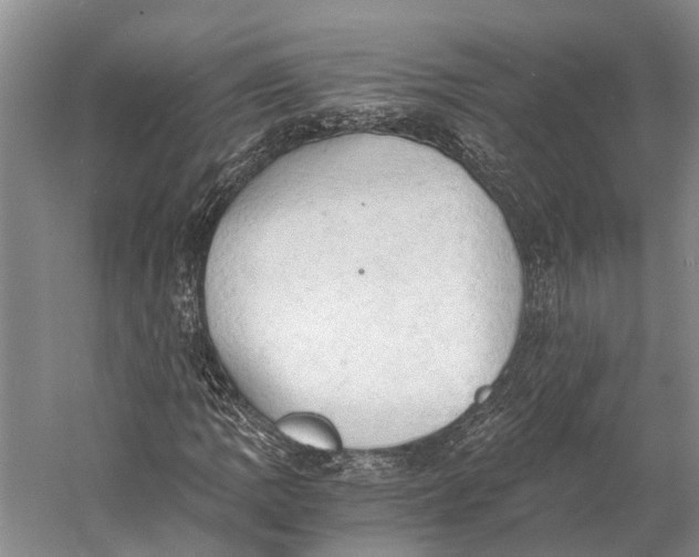 X0000058801109200510171339