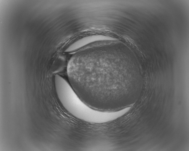 X0000058801110200510171339