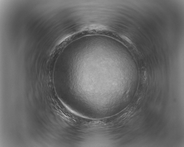 X0000058801112200510171339