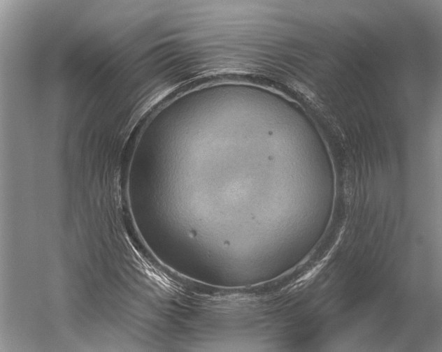 X0000058801113200510171339