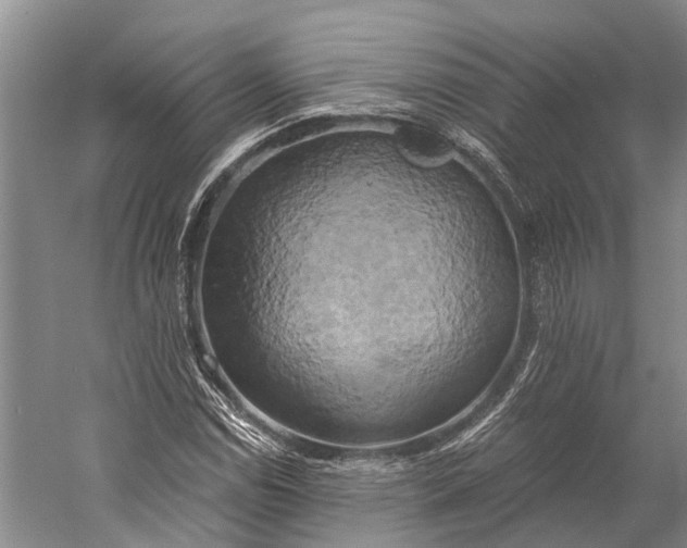 X0000058801114200510171339