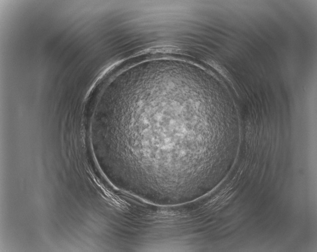 X0000058801115200510171339