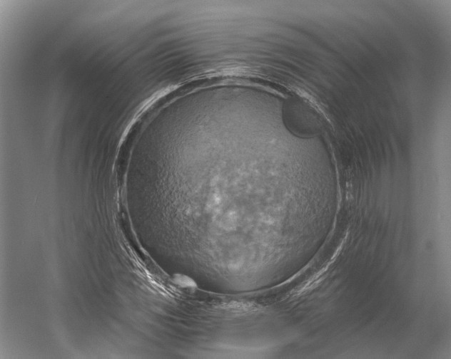 X0000058801117200510171339