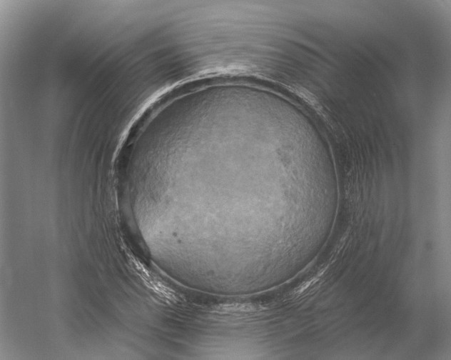 X0000058801118200510171339