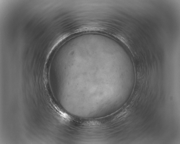 X0000058801119200510171339