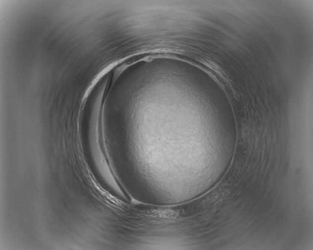 X0000058801120200510171339