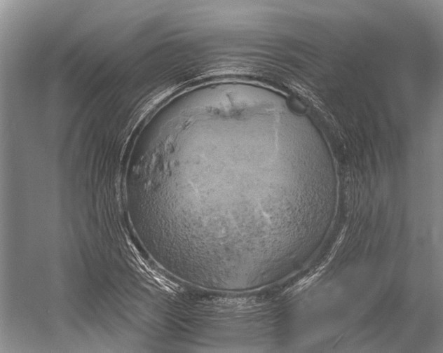 X0000058801121200510171339