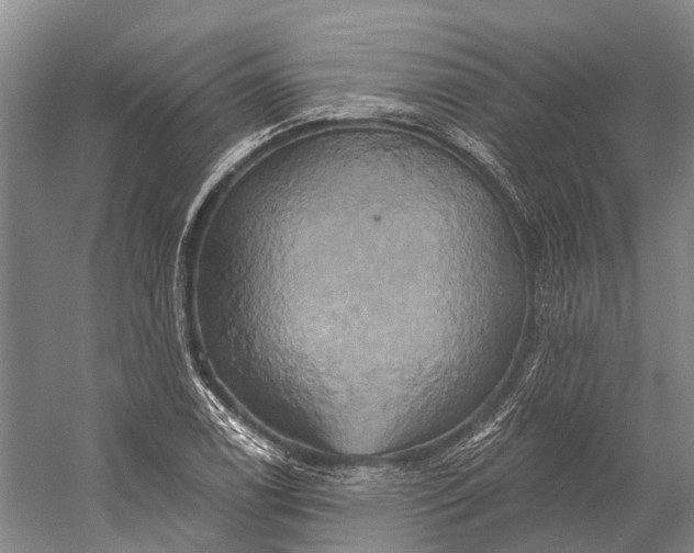 X0000058801122200510171339