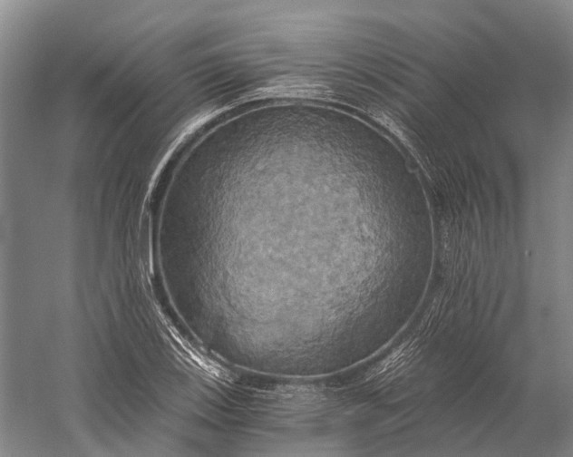 X0000058801123200510171339