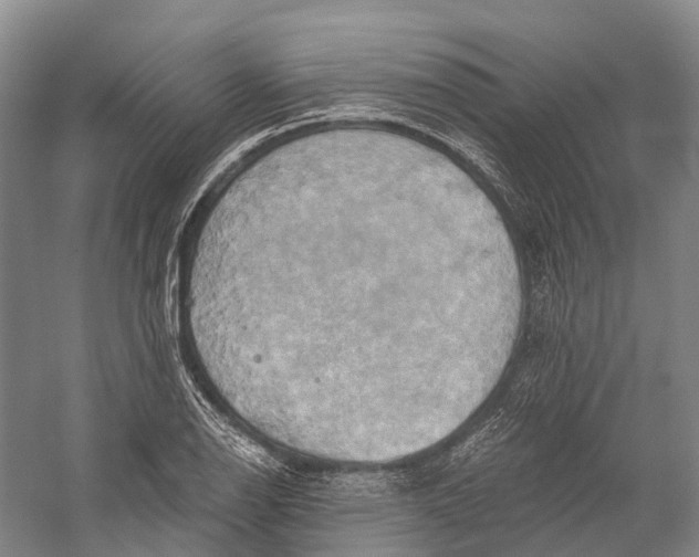 X0000058801126200510171340