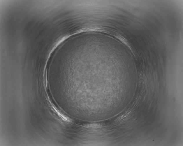 X0000058801127200510171340