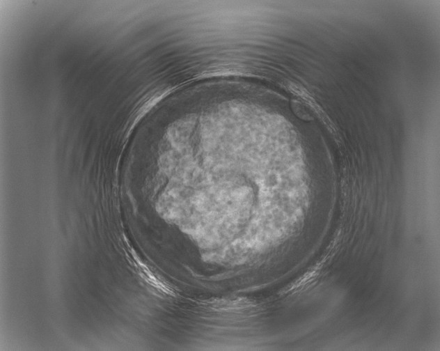 X0000058801129200510171340