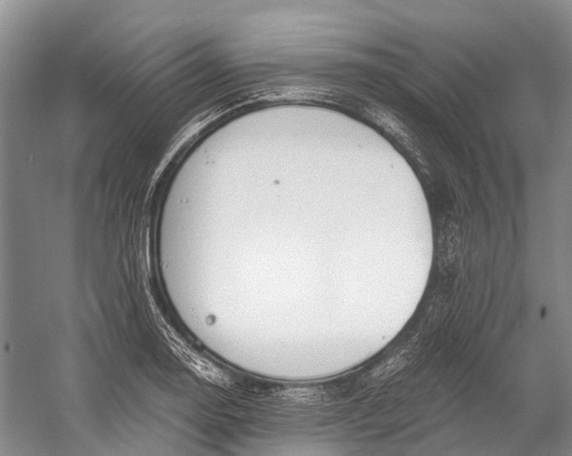 X0000058801130200510171340