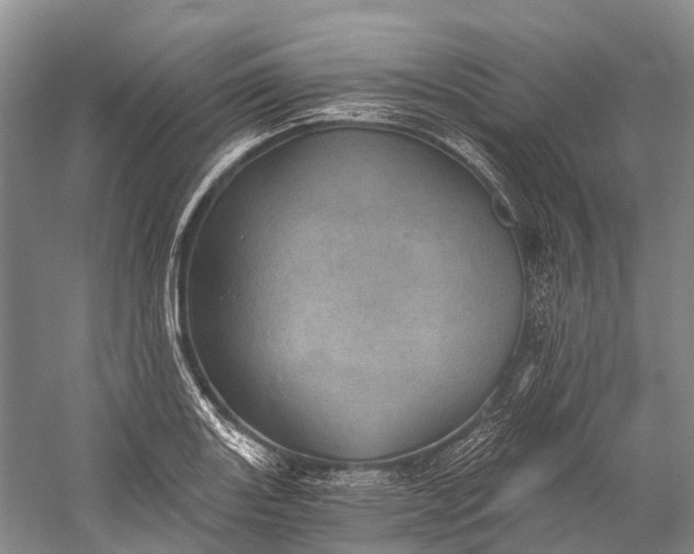 X0000058801131200510171340