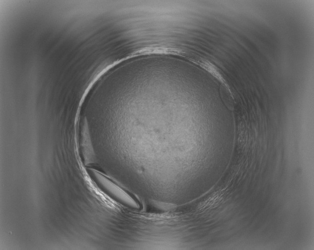 X0000058801132200510171340